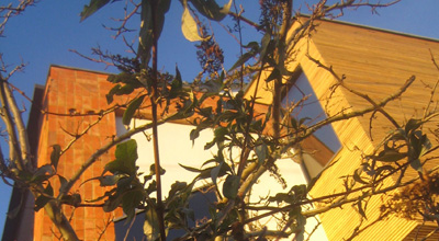 Back of zero carbon house, Birmingham at twighlight looking up to sky with bare branches of ash tree