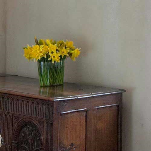 Daffodils on a chest in zero carbon house, Birmingham visited by 500 people on its open day